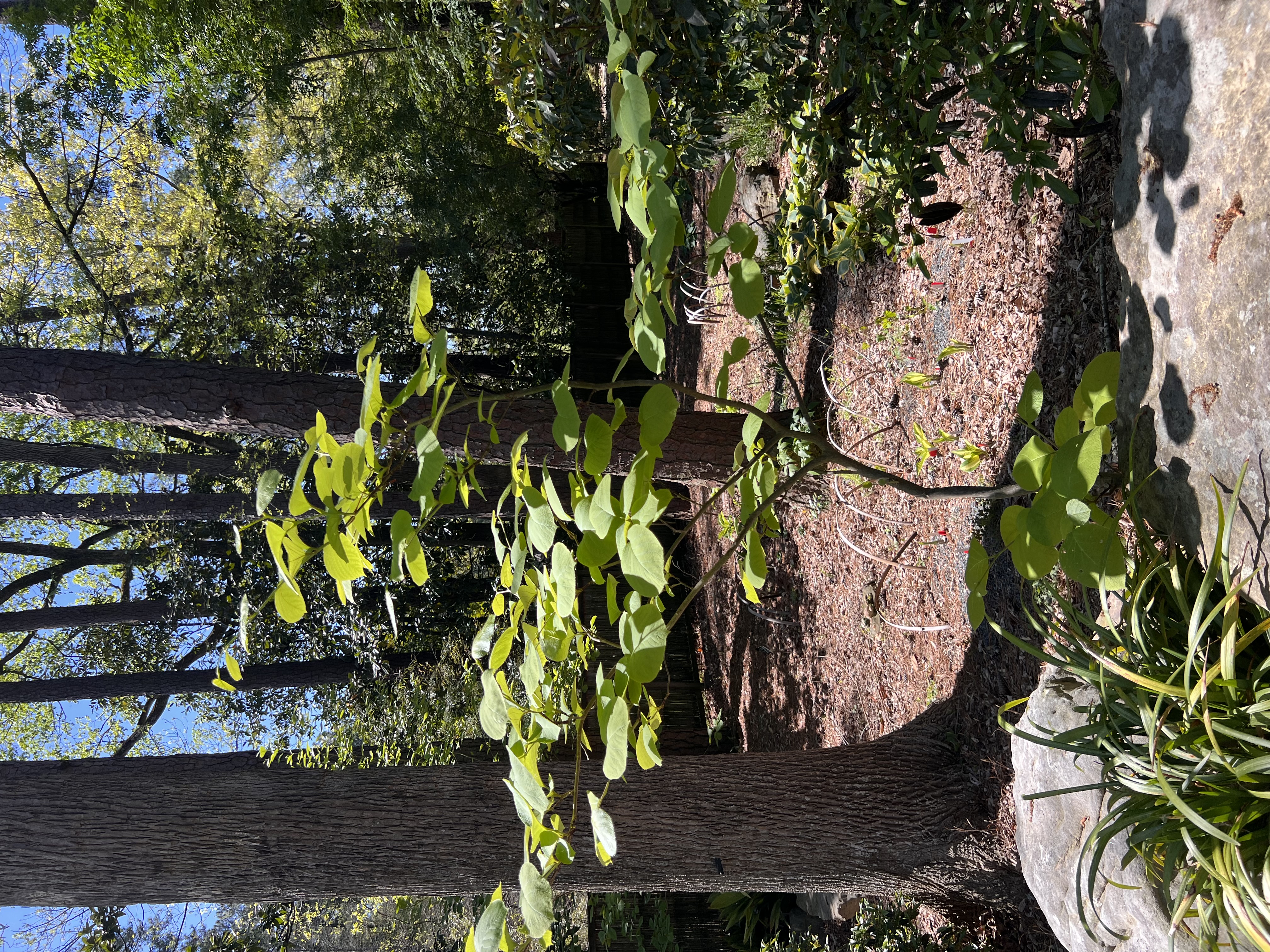 ./2023/05 - Toni Adventures/IMG_3171.JPG